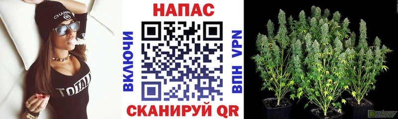 Бошки марихуана марихуана  дарк нет состав  Новотитаровская 